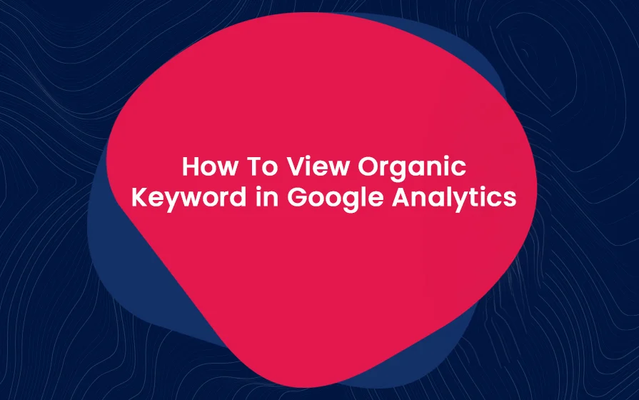 How To View Organic Keyword in Google Analytics Blog Feature